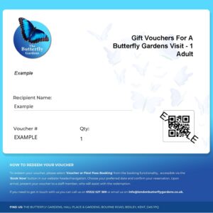 Gift Vouchers For A Butterfly Gardens Visit